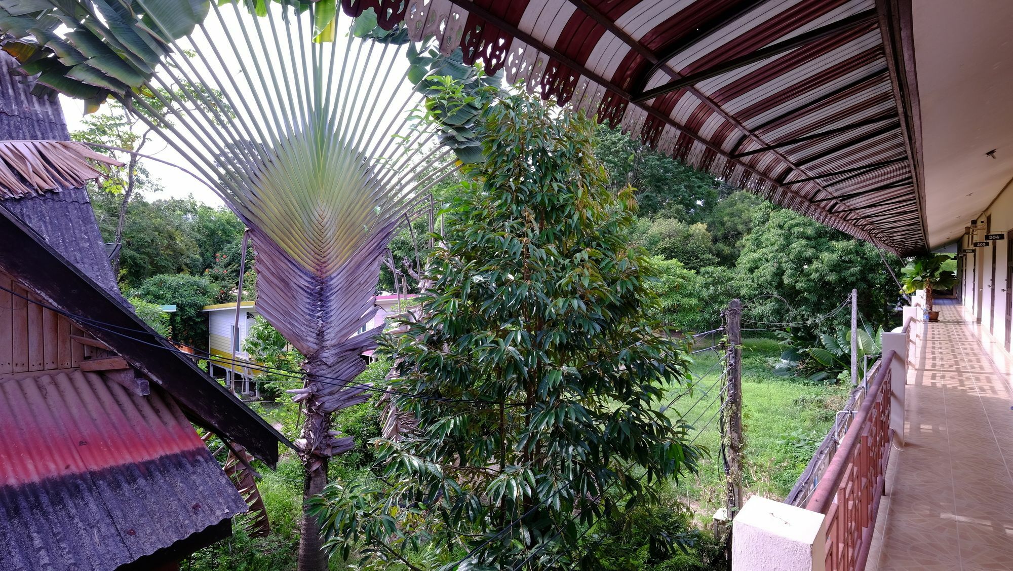 Samui Guest House Lamai Beach  Exterior photo